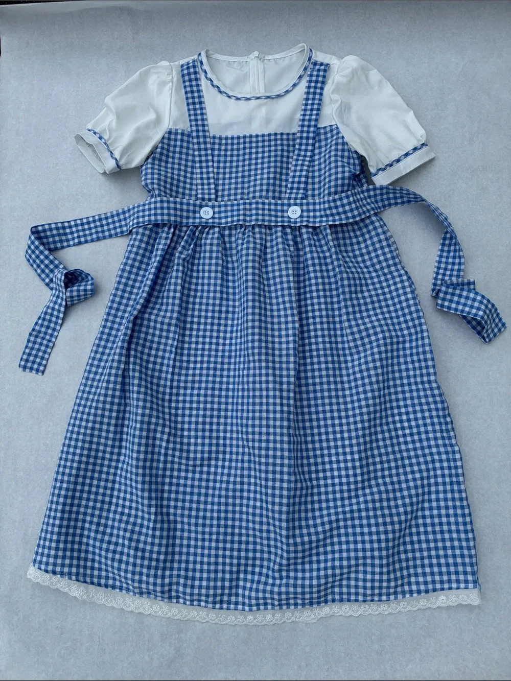Dorothy dress/costume